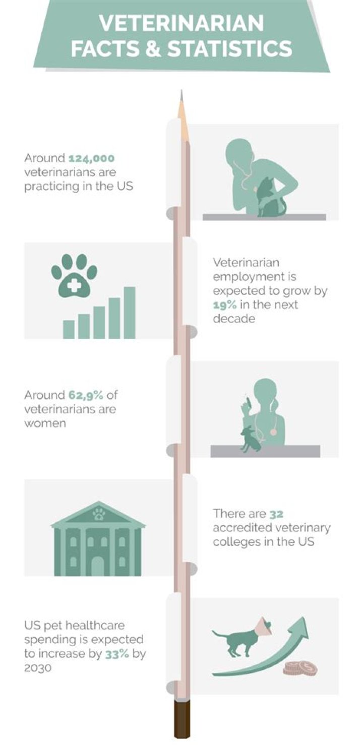 19 Fascinating Facts About Veterinarian