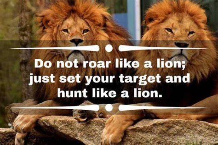 70+ powerful strong lion quotes and sayings to inspire you ·