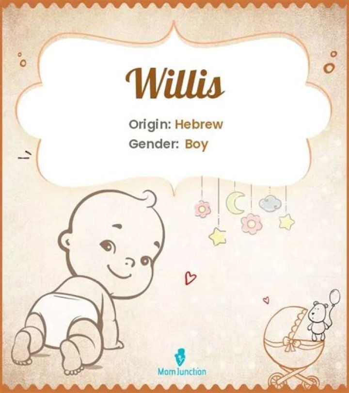A Guide To Its Origin, Charm, And Care