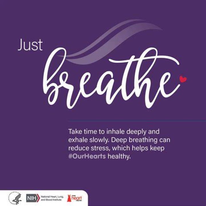 A Journey Of Heart, Health, And Inspiration