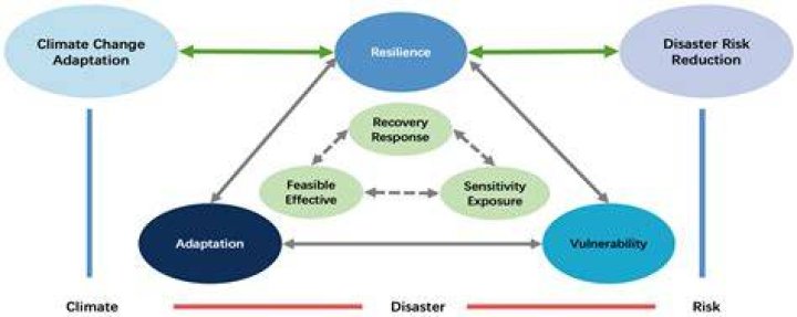 A Legacy Of Resilience, Impact, And Unfolding Promise In 2023