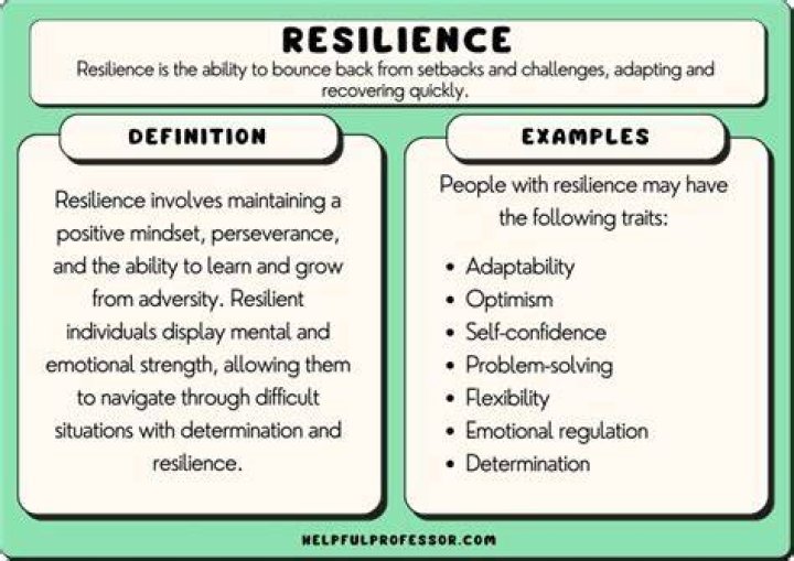 A Story Of Resilience And Success