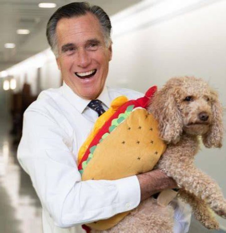 Are Ronna McDaniel And Mitt Romney Related?