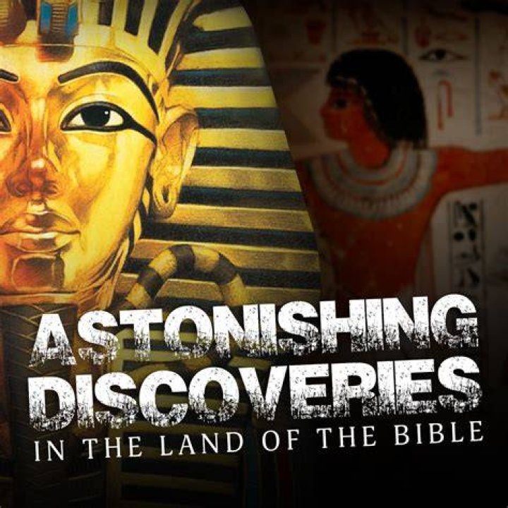 Astonishing Discoveries And Expert Insights