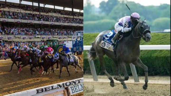 Belmont Stakes 2023 Winner and Results ·