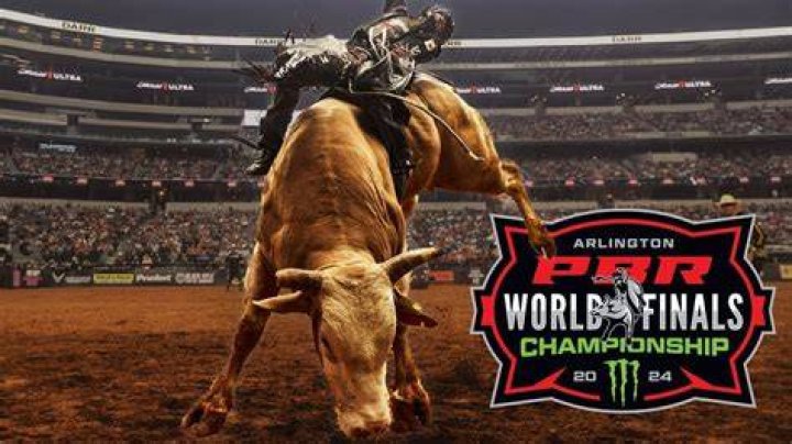 Bull Riding World Witness Action Packed Championship in Future, Heres All theDetails ·