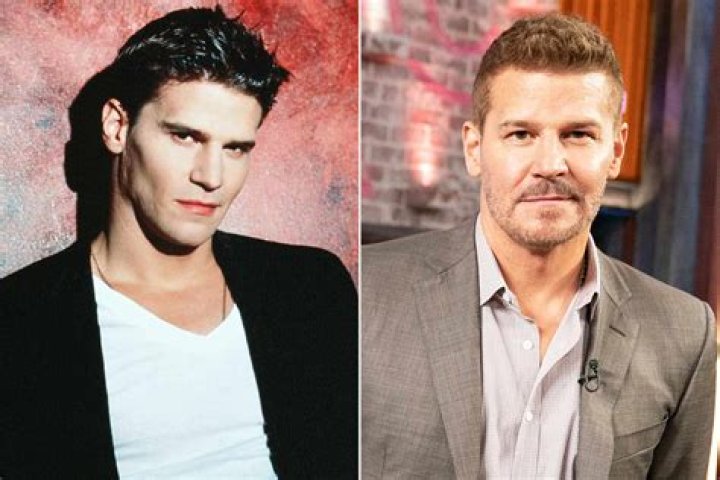 David Boreanaz's Life, Age, And Wife Revealed