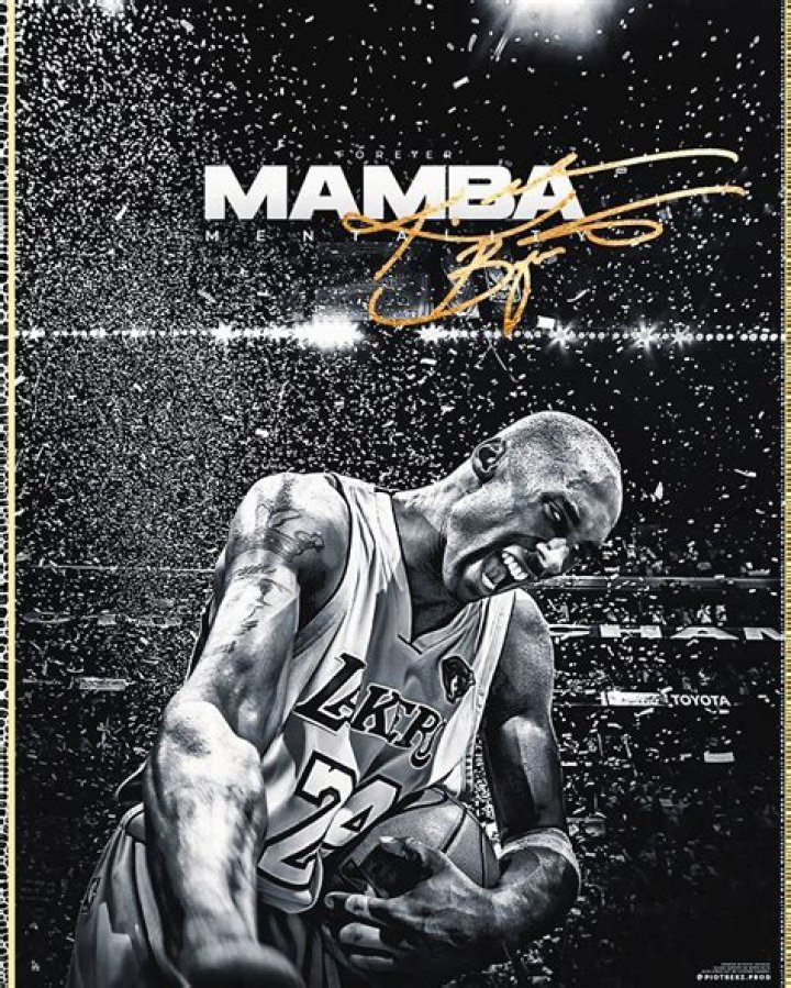 Diamond Mamba - WebBlog