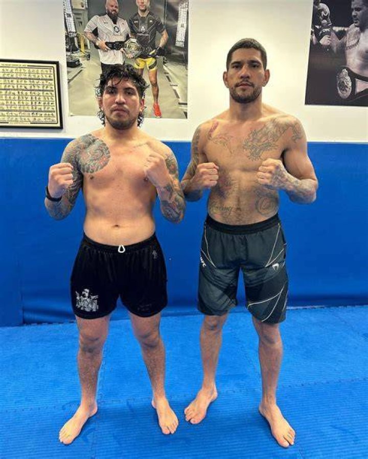 Dillon Danis' Height And Its Impact