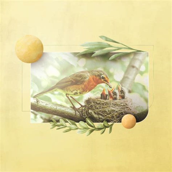 Discover Her Journey As A Mother
