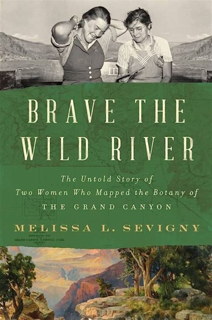 Discover The Untold Story Of Glen Taylor's Enigmatic Wife