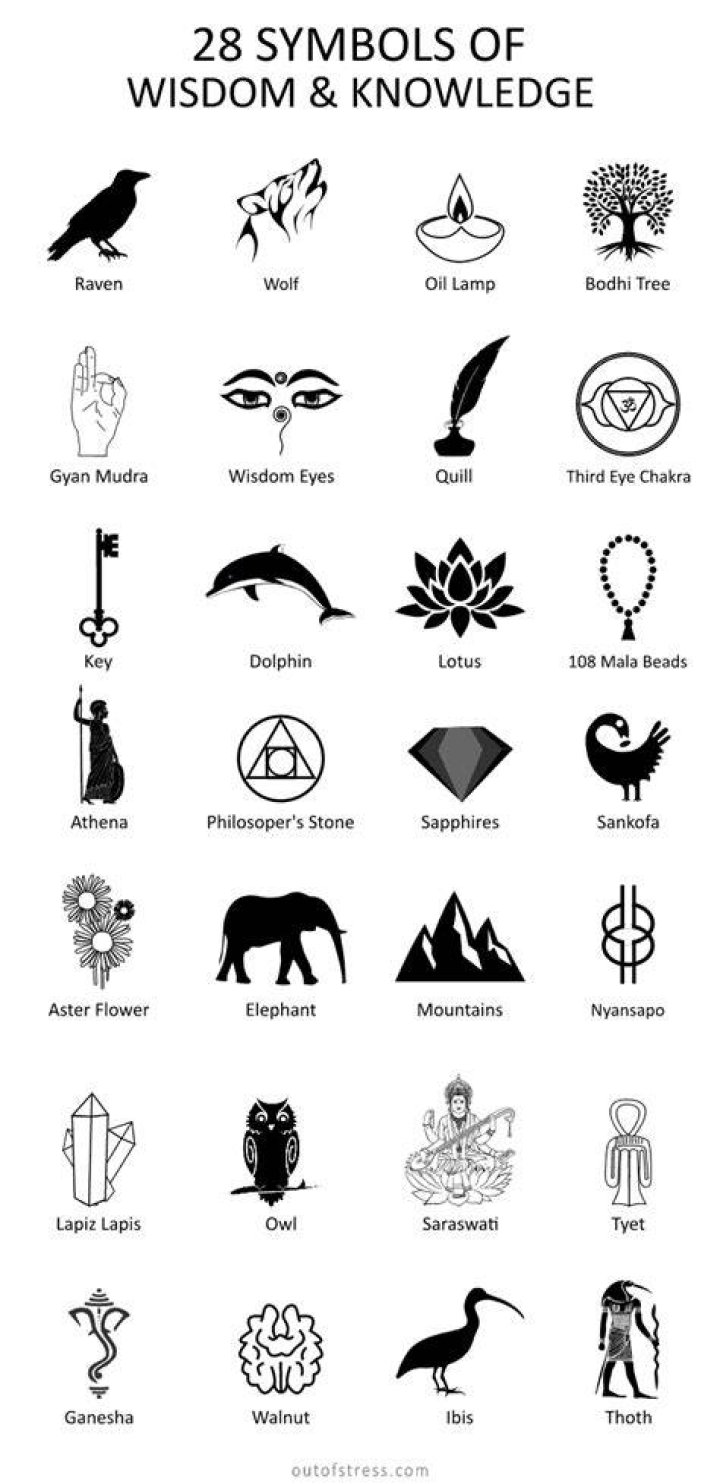 Discover Their World And Wisdom