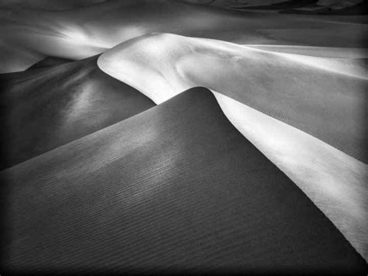 Discoveries And Insights About Tom MacDonald's "Black And White"