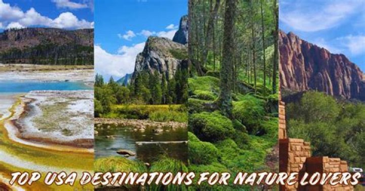 Discoveries And Insights For Nature Lovers