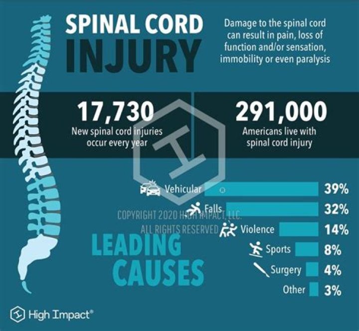 Discoveries And Insights For Spinal Cord Injury
