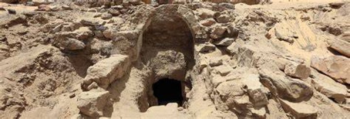 Discoveries And Insights For The Lins19 Niche