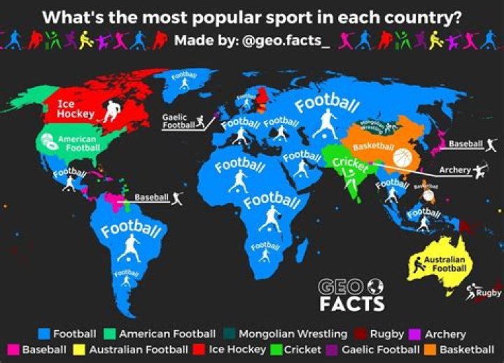Discoveries And Insights In The World Of Sports