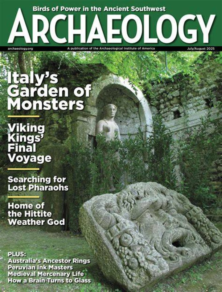 Discoveries And Insights Into Lisa Glasberg