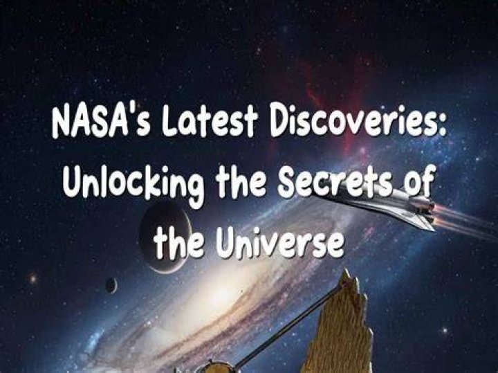 Discoveries And Insights Within The "lins23" Niche