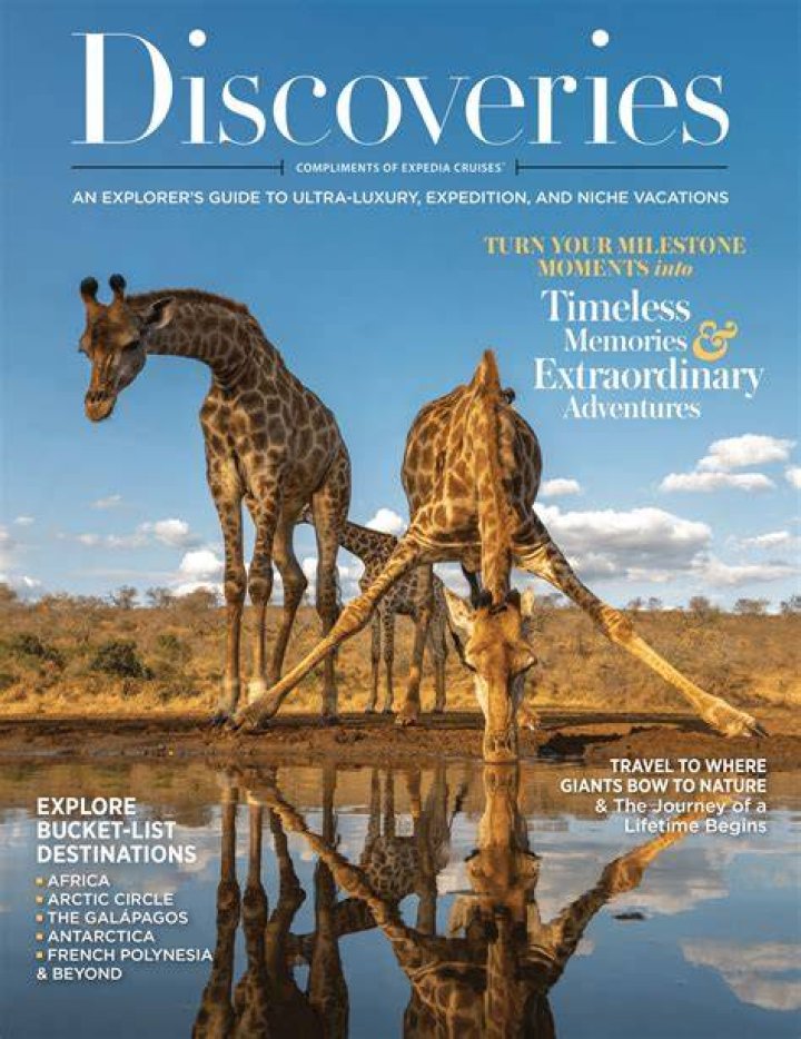 Discoveries For The Who38 Niche