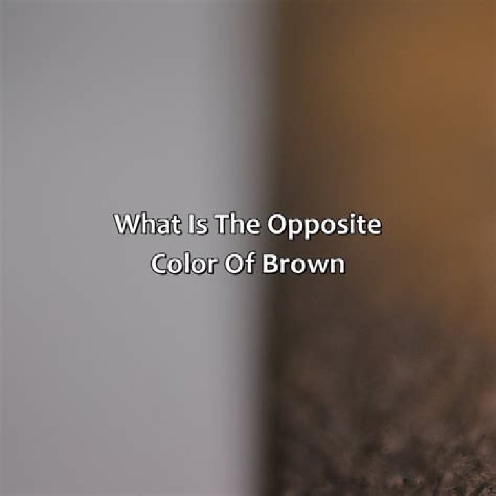 Discovering The Opposite Color Of Brown