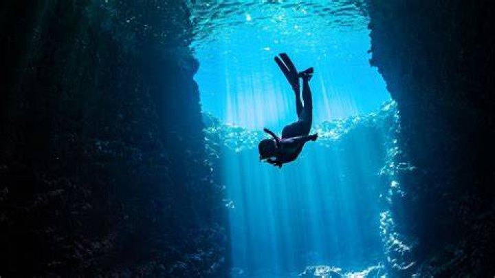 Dive Into A World Of Muscular Masculinity