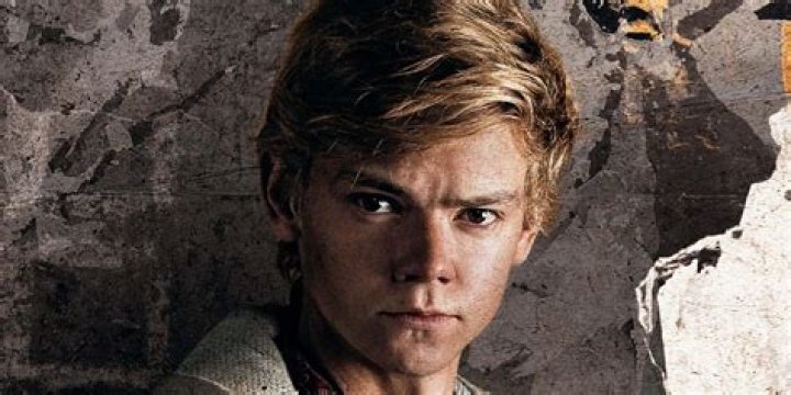 Does Newt become a crank? Celebrity