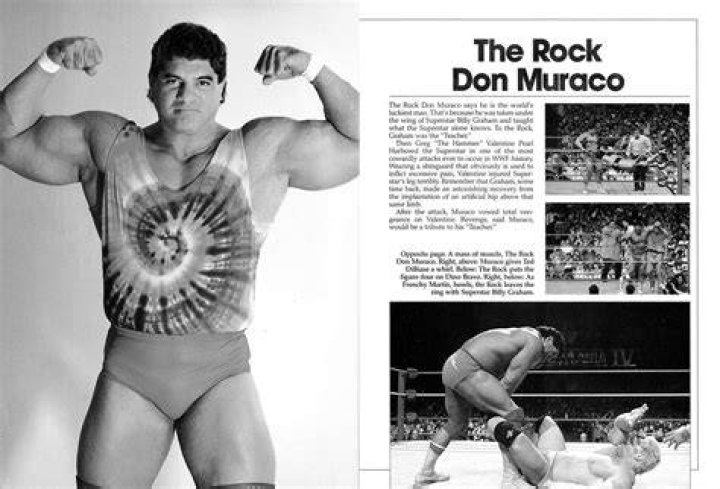 Don Muraco Net Worth - BlogPaper