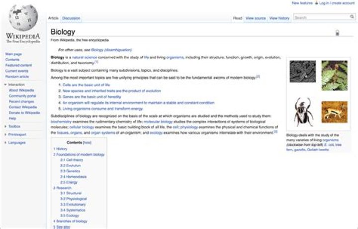 Exploring Her Wikipedia Page For Unprecedented Insights