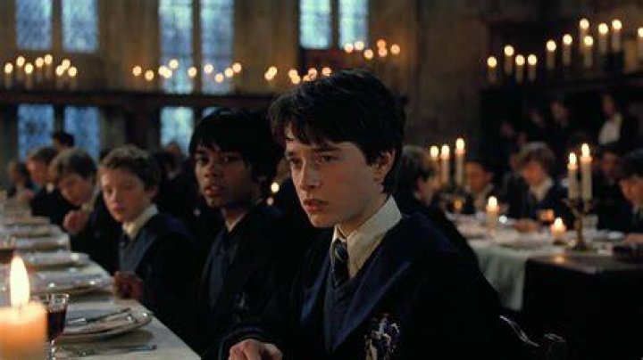 Exploring The Iconic Robert Knox Harry Potter Scene