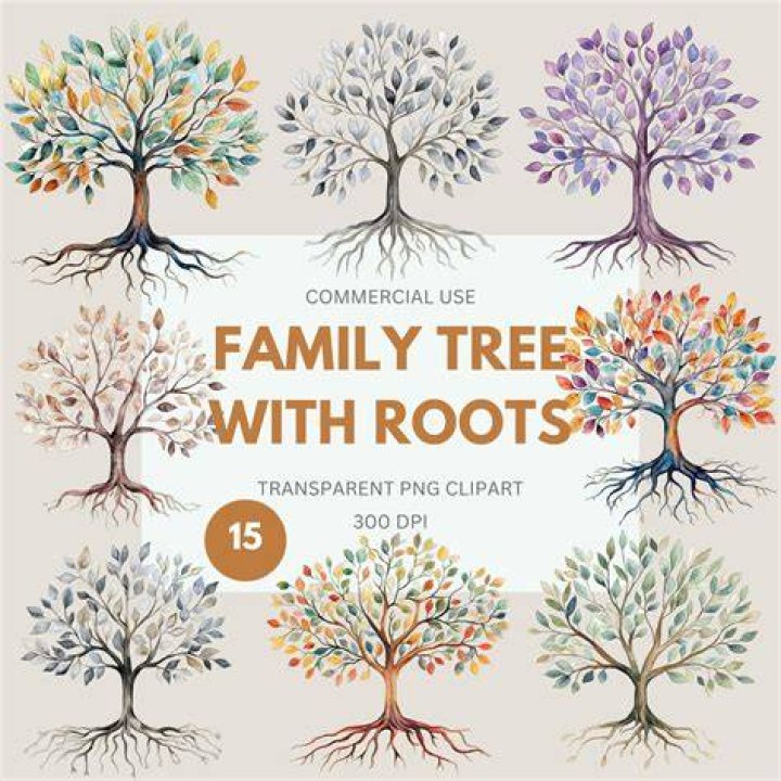 Family Roots And Influences On Rachel's Journey