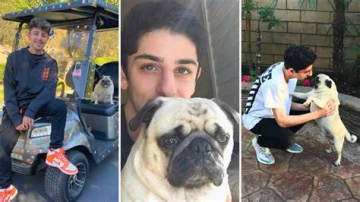FaZe Rug Bosley Dog Death Cause And Obituary Linked To Heart Failure