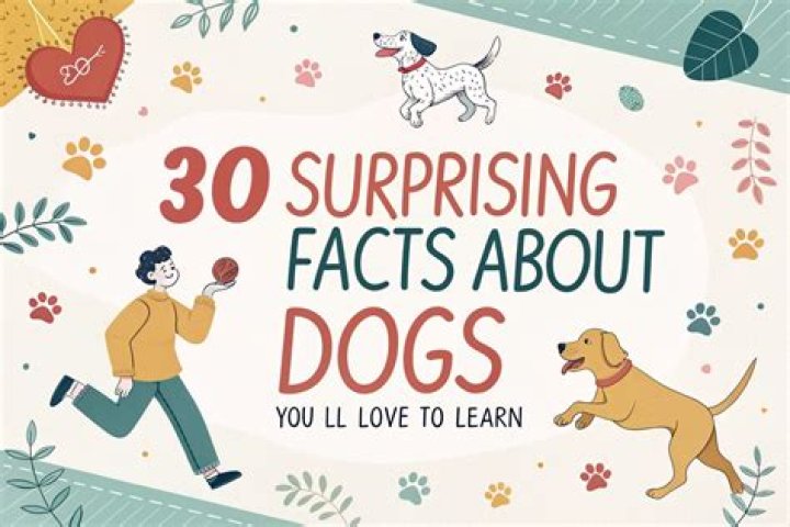 Five Surprising Facts You'll Love