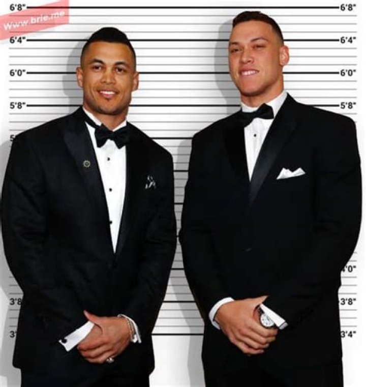 Giancarlo Stanton Height, Weight, Age, Girlfriend, Family, Facts, Biography