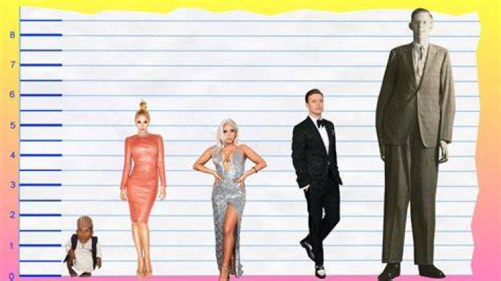 Gwen Stefani Bra Size, Age, Weight, Height, Measurements