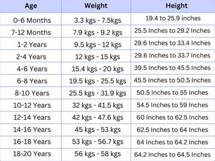 Height, Weight, Age, And Basketball Journey