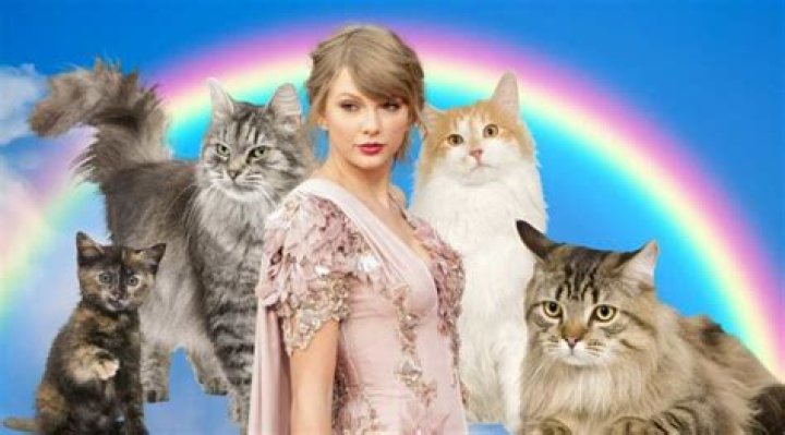 How Taylor Swift's Cats' Names Define Her Brand And Values