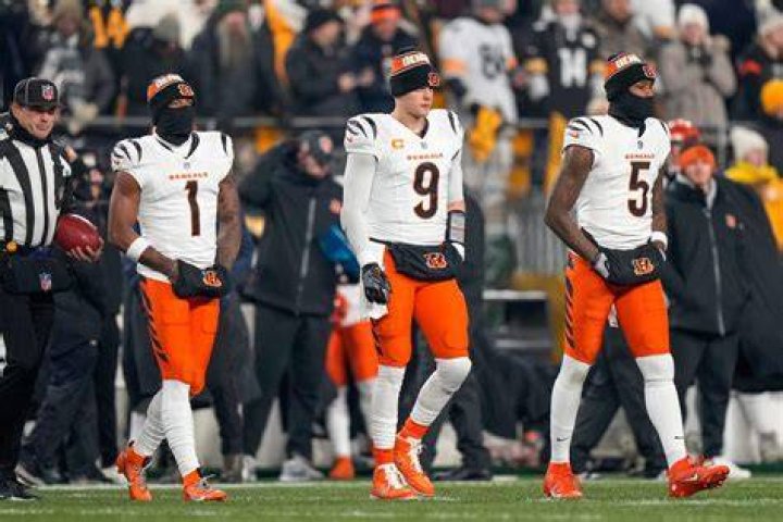 Joe Burrow And His Brothers