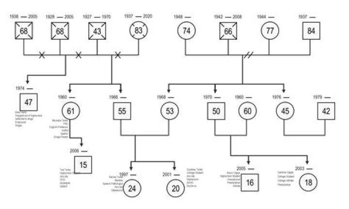 Ladislav Staidl & Ana Staidlova Divorced, Joint Family Tree & History ·
