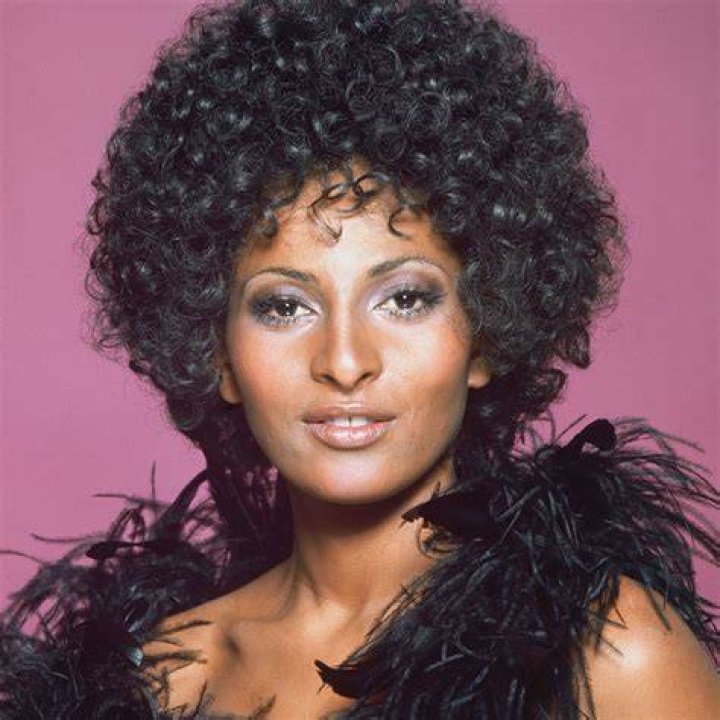 Pam Grier Bio Age Net Worth Relationship Career
