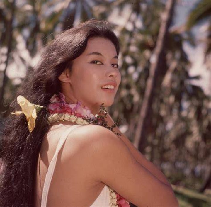 PicoVib | France Nuyen Net Worth