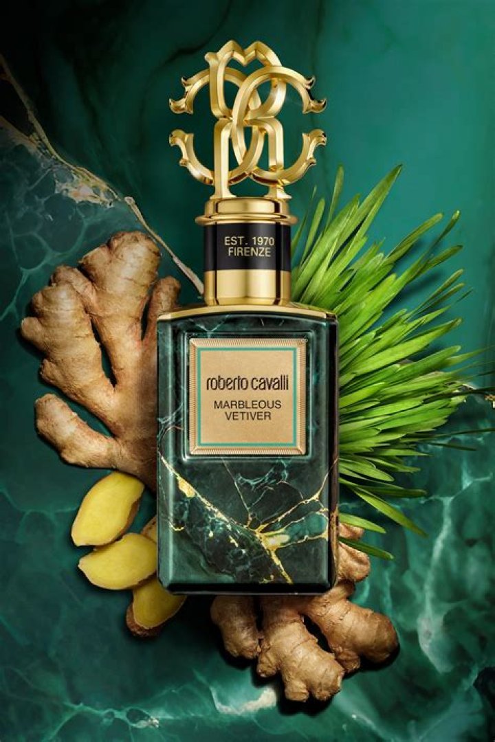 Roberto Cavalli Net Worth - BlogPaper