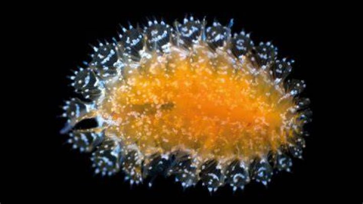 Surprising Discoveries And Deep Insights