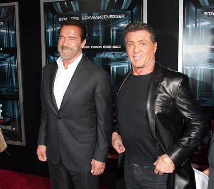 Sylvester Stallone And The Wheelchair Rumors
