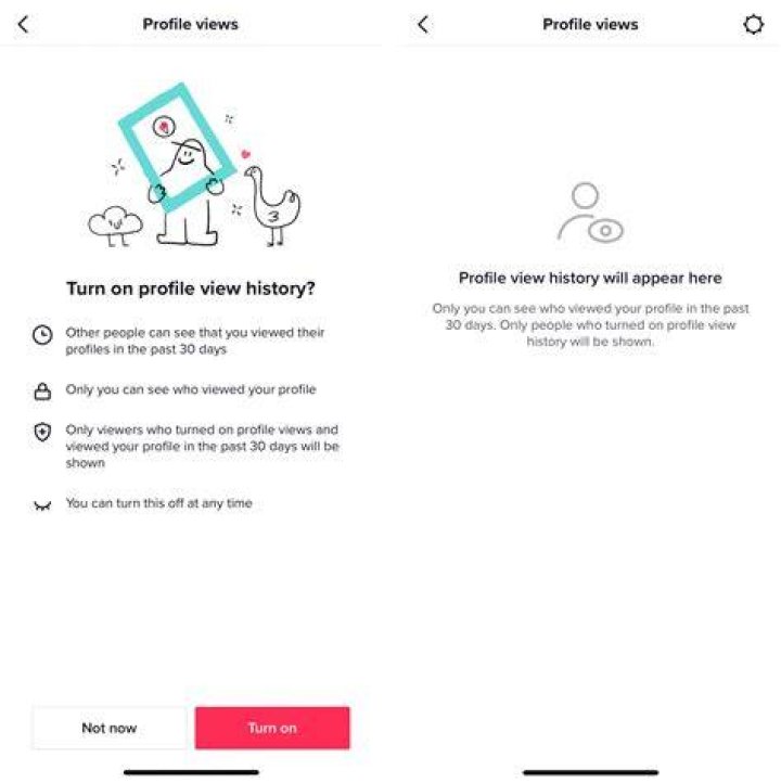 The Impact Of Toggling Profile Views On TikTok