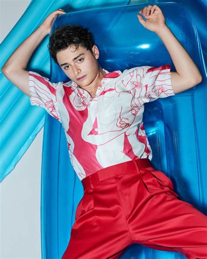 Uncover Noah Schnapp's Shirtless Appeal: A Comprehensive Exploration