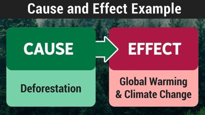 Uncovering The Cause And Its Impact