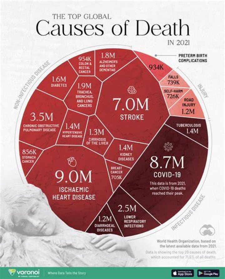 Uncovering The Cause Of Death And Its Impact