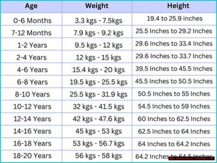 Uncovering The Secrets Of Her Height, Weight, Age, Boyfriend, And More