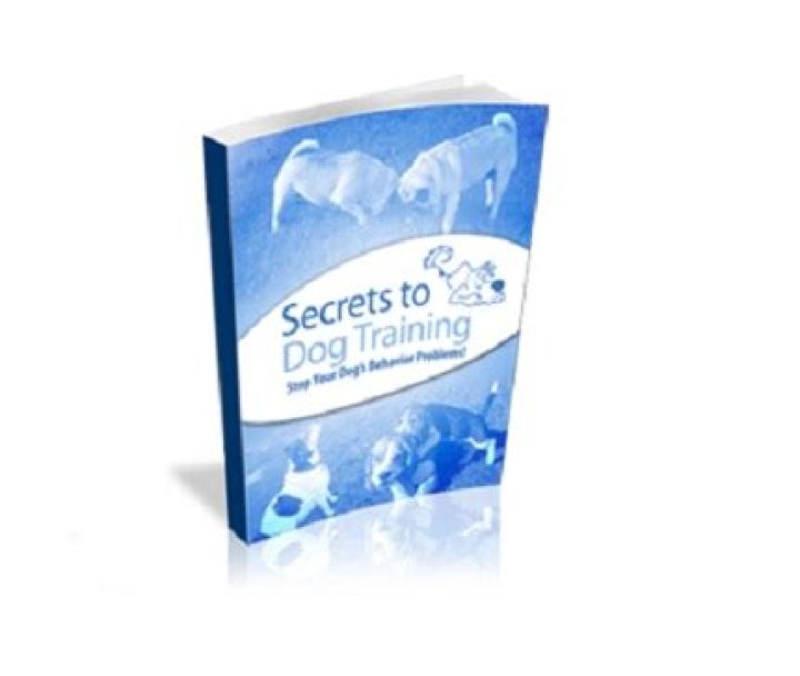 Unleash The Secrets To Dog Training Mastery With Jenn Marie Earle